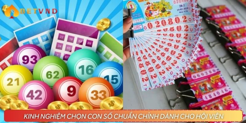Kinh nghiệm chọn con số chuẩn chỉnh dành cho hội viên