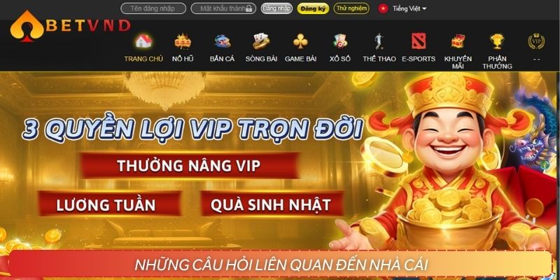 Các câu hỏi thường gặp khi đặt cược tại nhà cái