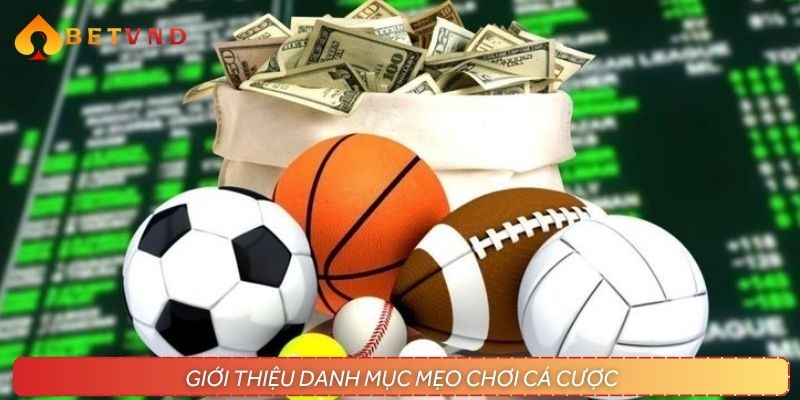 Tổng quan về danh mục mẹo chơi cá cược