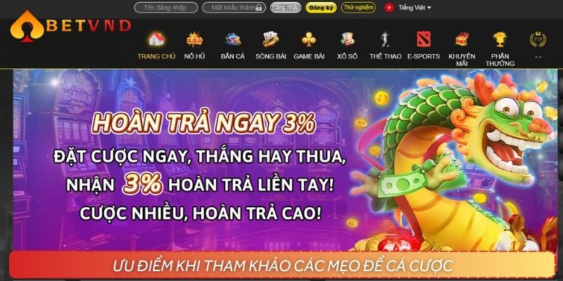 Ưu điểm khi học hỏi các mẹo để cá cược