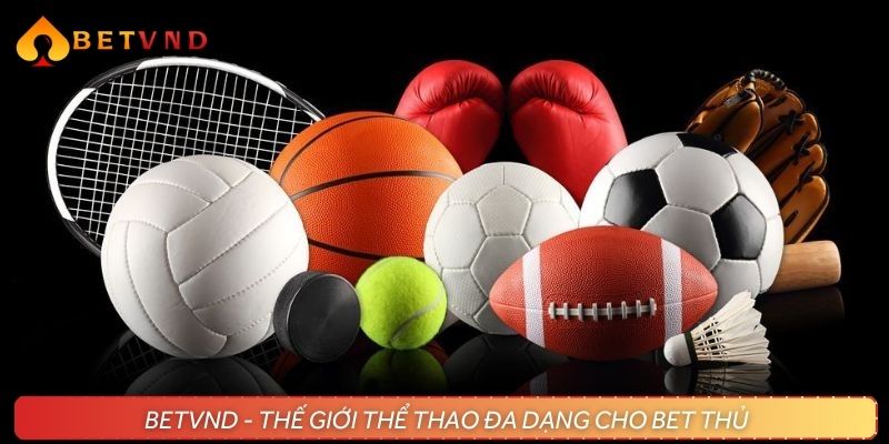 Khám phá thế giới thể thao đa dạng, hấp dẫn tại sân chơi BETVND