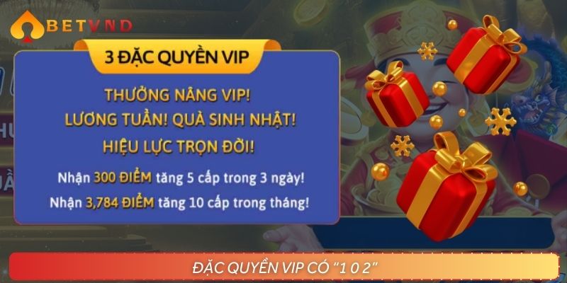 Ưu đãi VIP đỉnh cao dành cho hội viên thân thiết